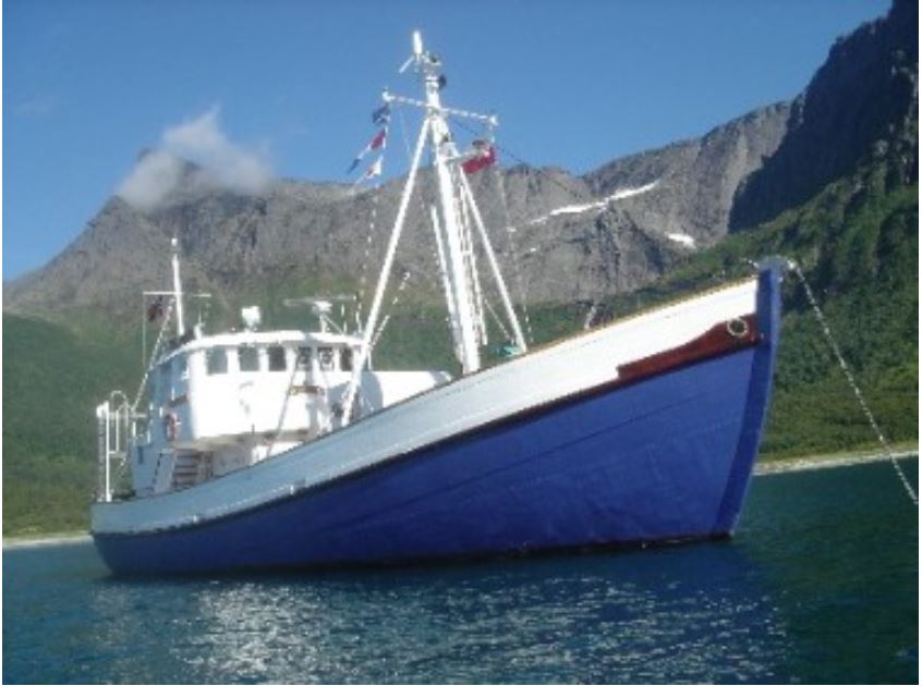 Fiskeminsveparna (M31-M32) och utvecklingen av Marinens första ...